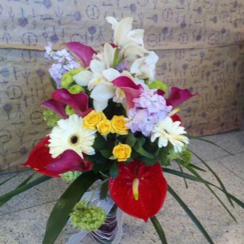 flores-y-plantas-2 (1)