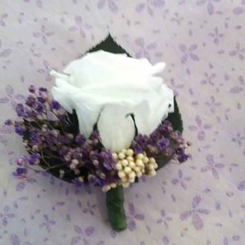 flores-y-plantas-3 (1)