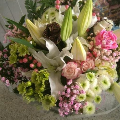 flores-y-plantas-4 (1)